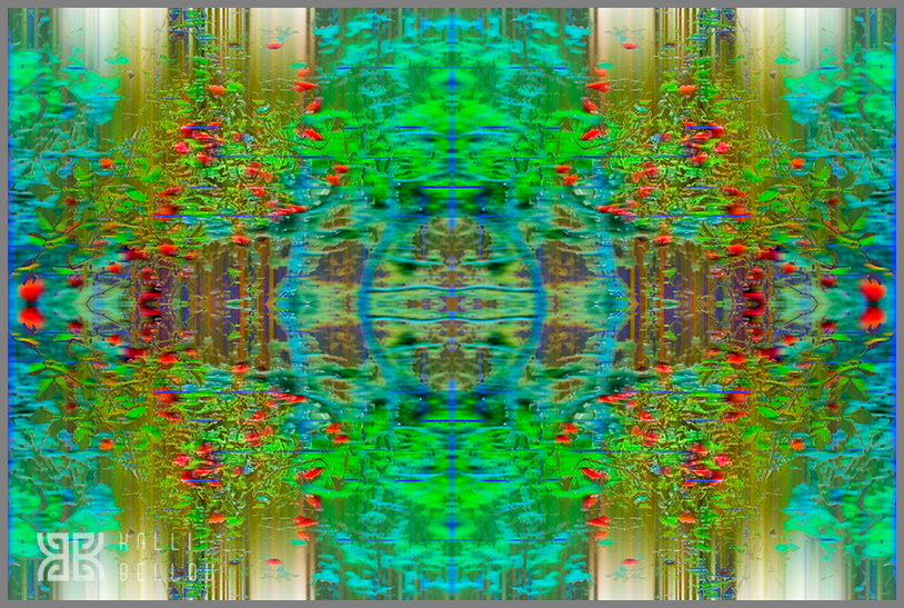 � Kalli Bellou / www.kallibellou.com